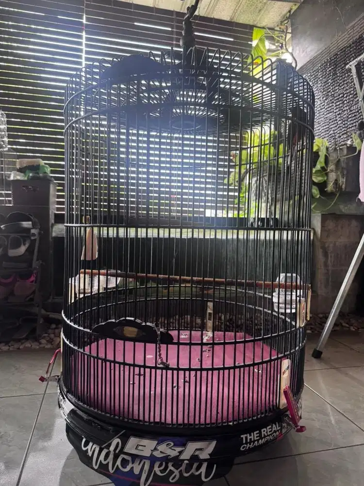 sangkar murai BNR pvc no 2