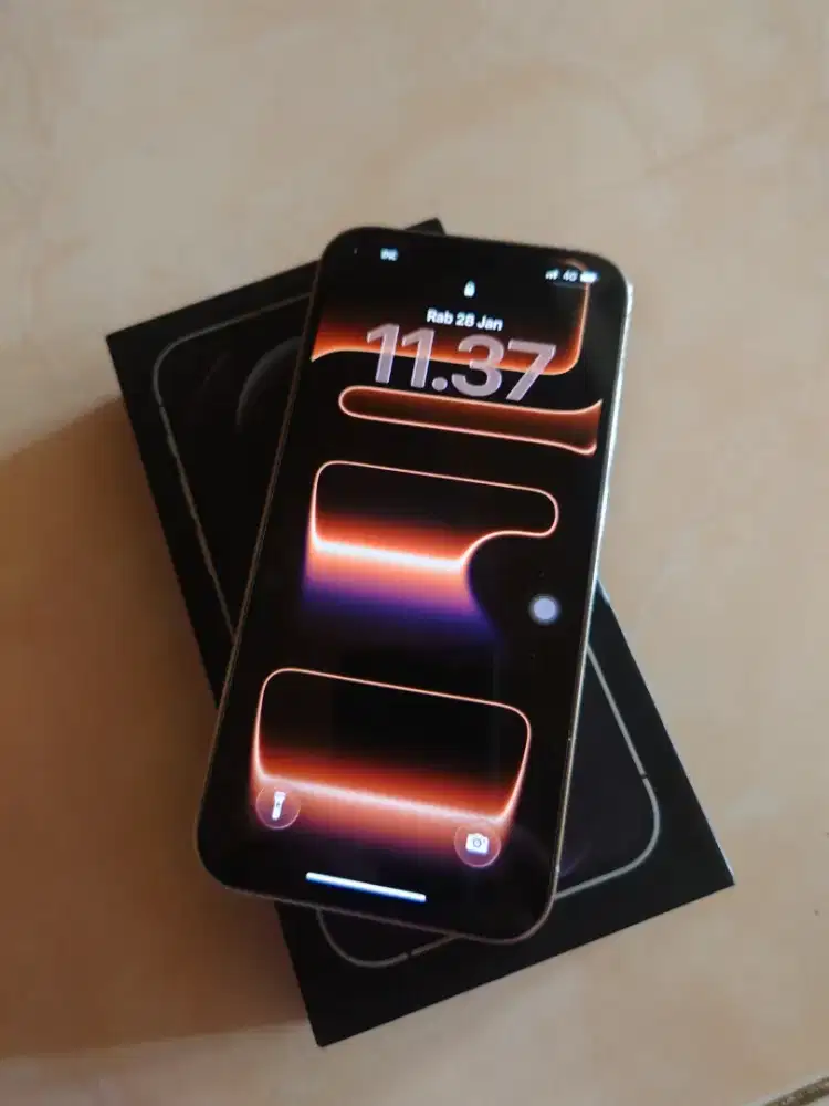 iPhone 12 Pro Max White 128 GB