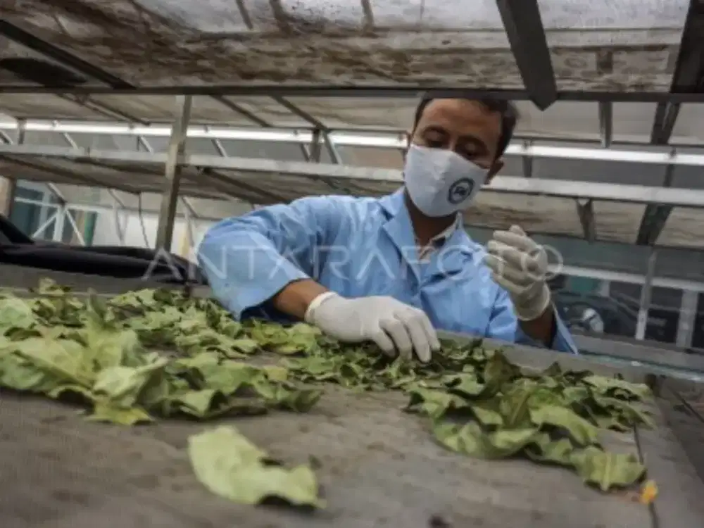 Butuh tenaga kerja lulusan SMK