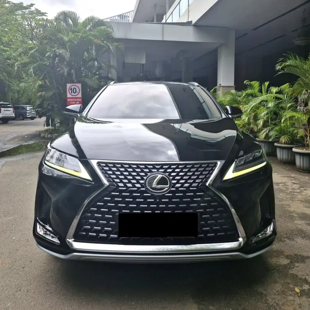 Lexus RX300 Luxury 4X2 Nik 2020