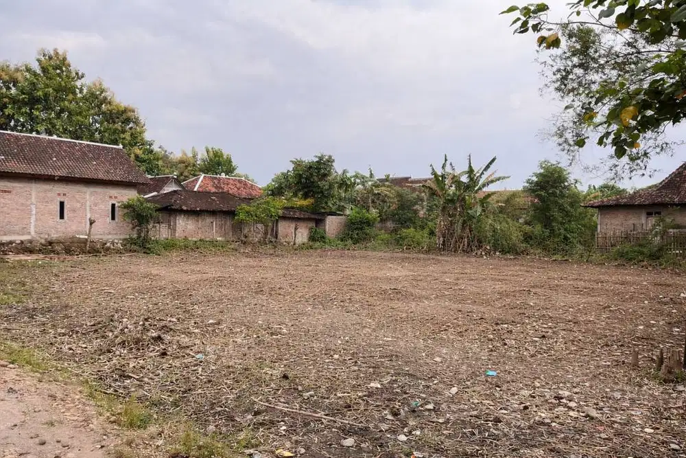 JUAL CEPAT TANAH PEKARANGAN