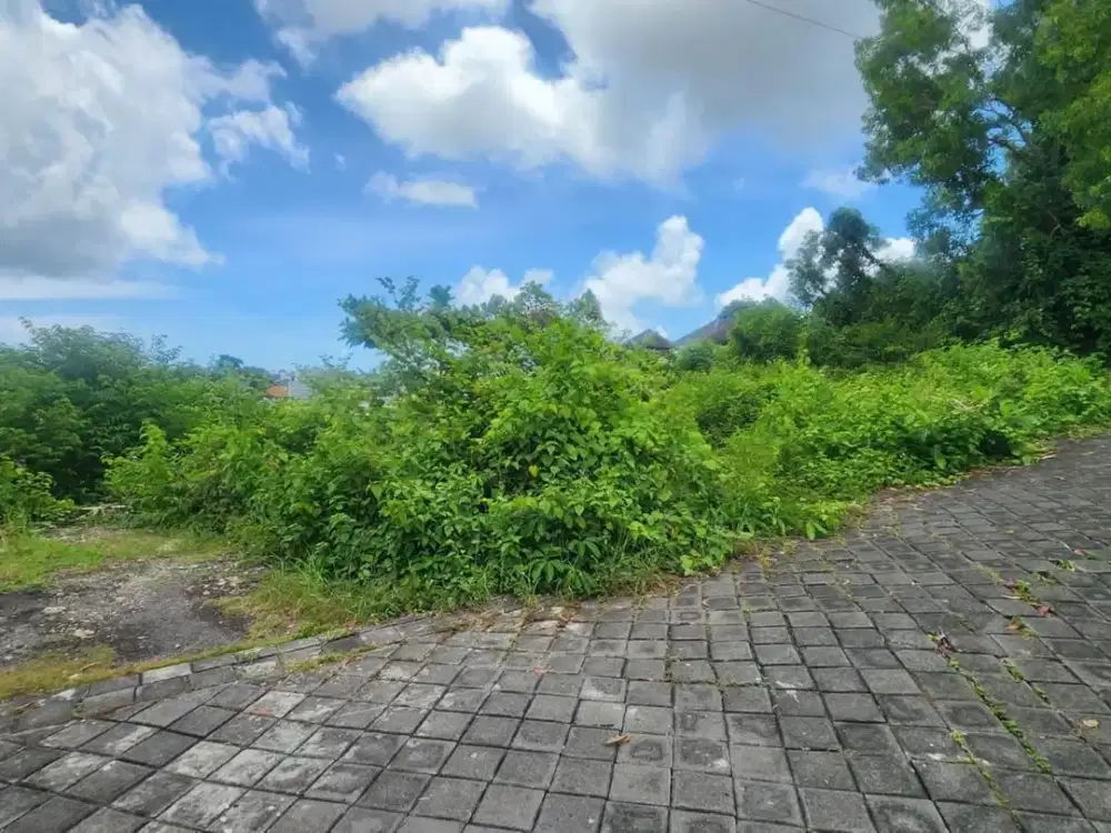 Tanah kecil cocok untuk villa, dijual area ungasan.