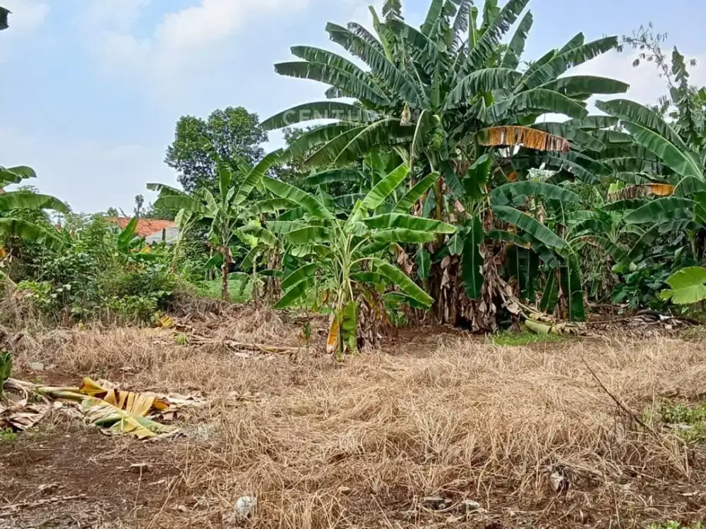 DIJUAL TANAH LOKASI STRATEGIS KE BINTARO CIPUTAT Dan BSD