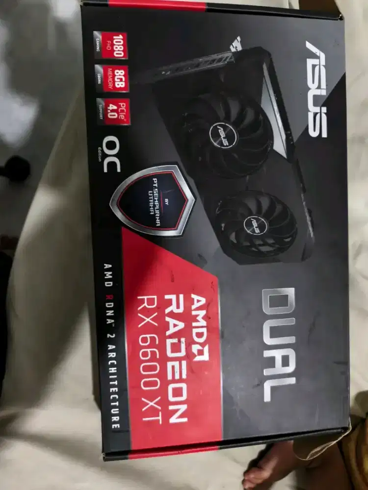 VGA asus rx6600 normal