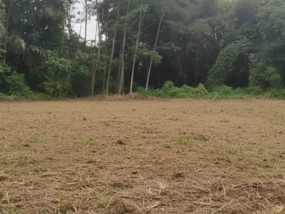 Dijual Tanah Strategis Sleman, 7 Menit ke RSUD Sleman siap AJB