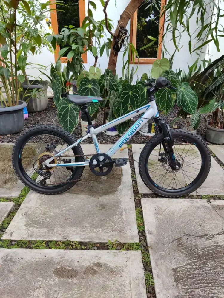 Sepeda anak MTB Polygon Maze ring 20 bekas
