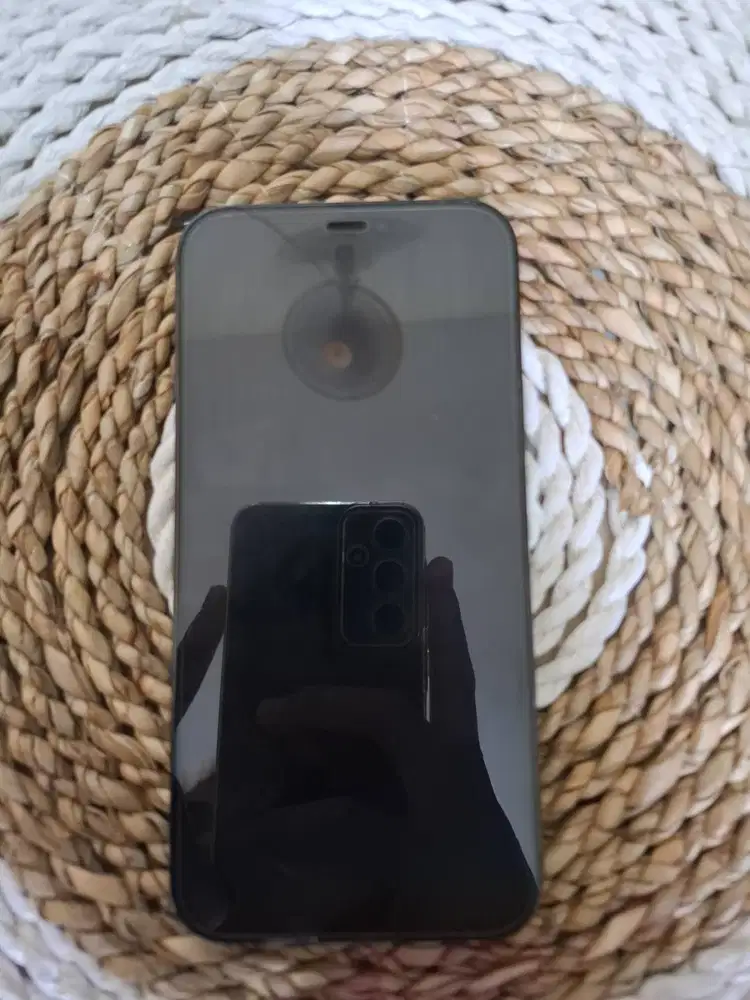 Iphone 12 pro 256 gb beacukai