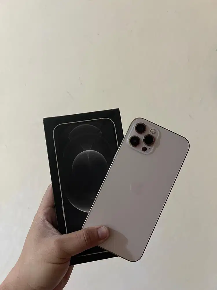 Iphone 12 Promax 256 gb