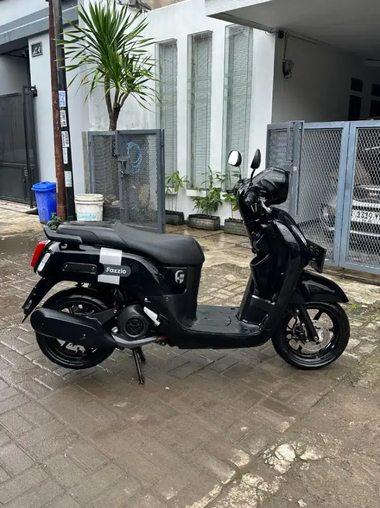 Fazzio full black langka