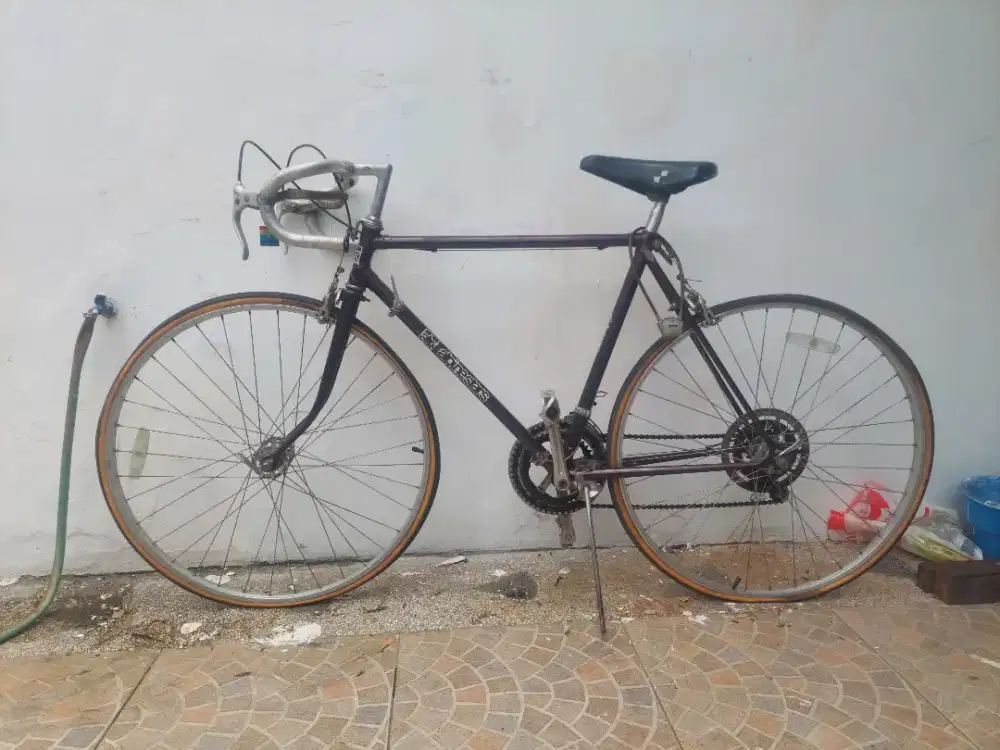 Sepeda Alphine star, warna ungu