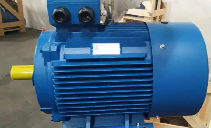 ELECTRIC MOTOR / DINAMO FOOD