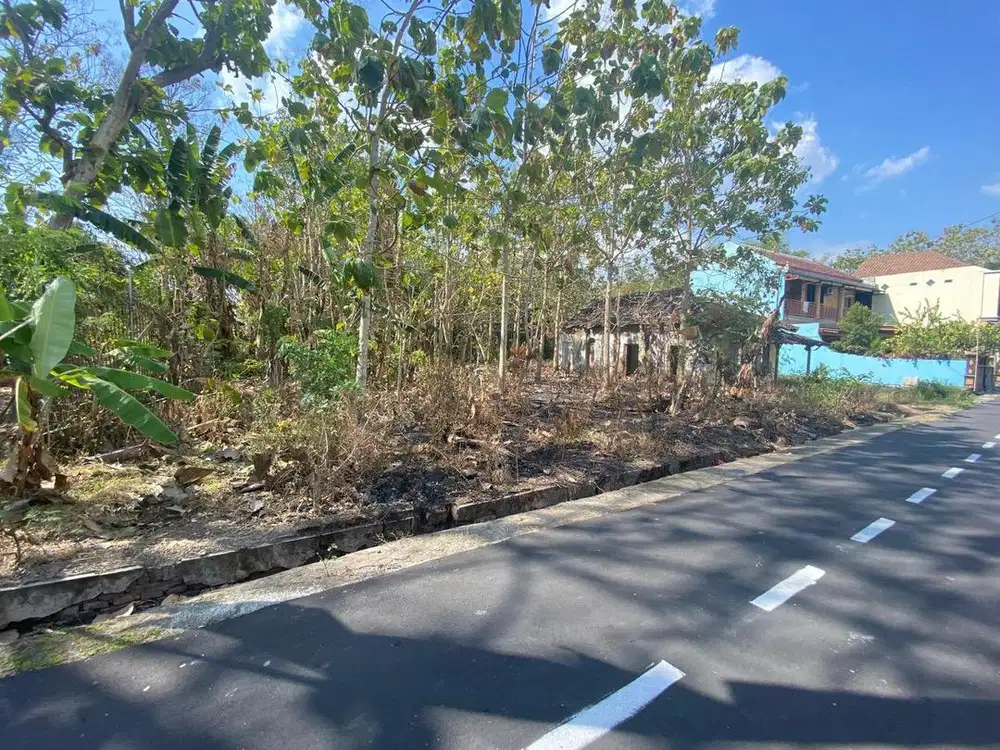 Tanah Dijual dekat masjid agung jatisobo