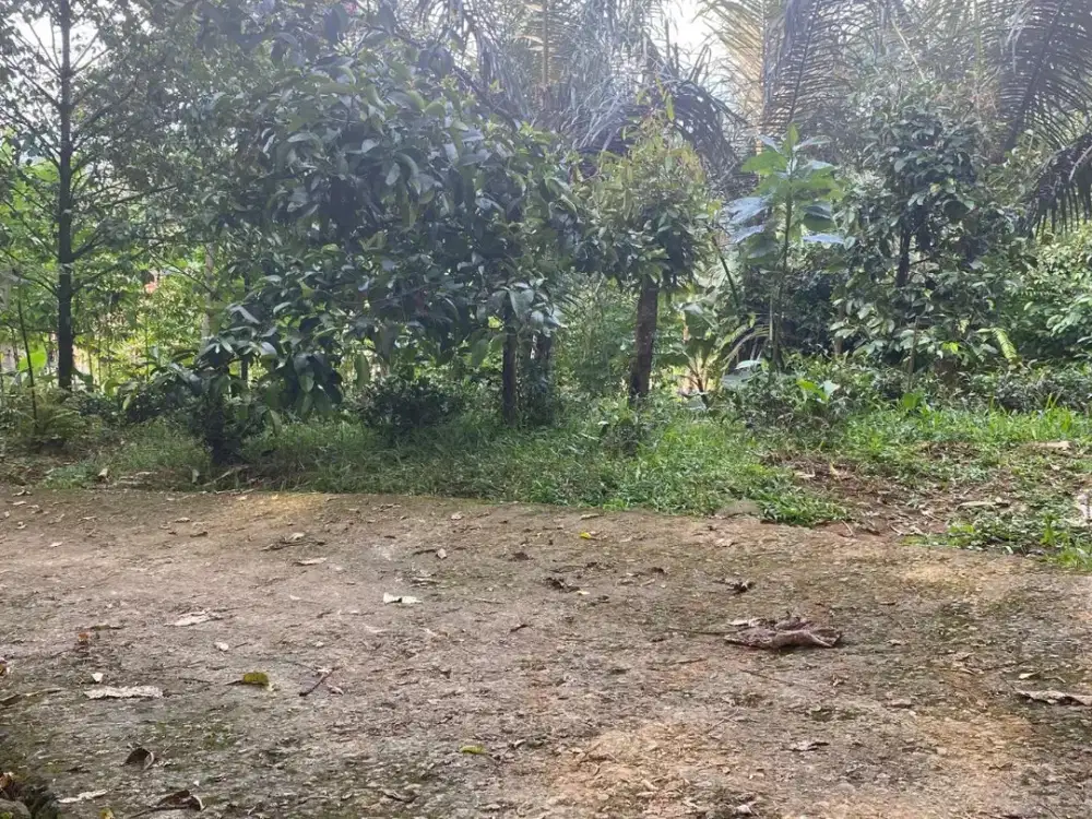 Dijual Murah Tanah 1000 m2 Akses Mobil di Bojong Purwakarta