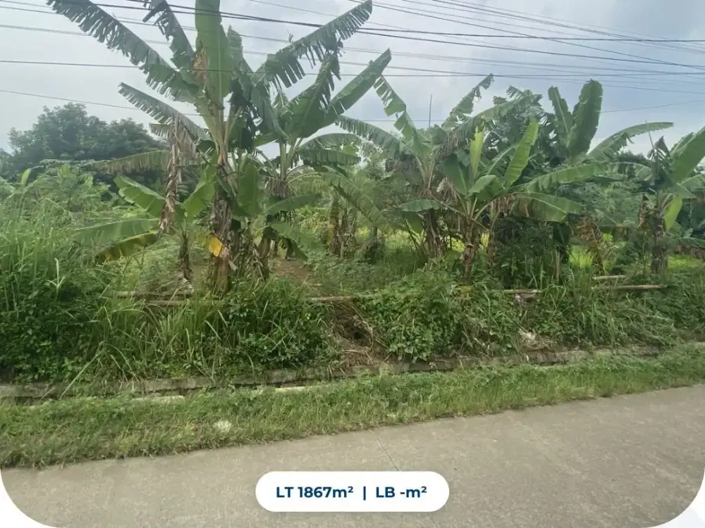 Dijual Murah Tanah, Jalan Malang Nengah, Desa Cireundeu, Kec. Solear, Kab. Tangerang, Prov. Banten.