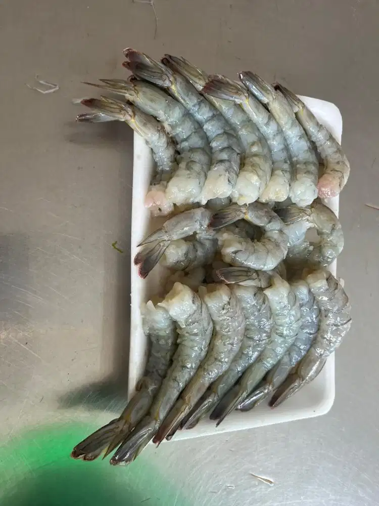 Sales Lapangan Wanita