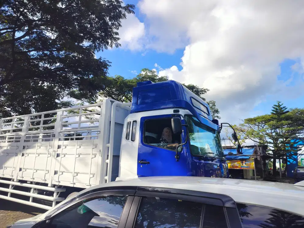 Mitsubishi Fuso 2007 Diesel