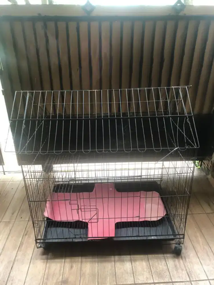 Kandang kucing anjing
