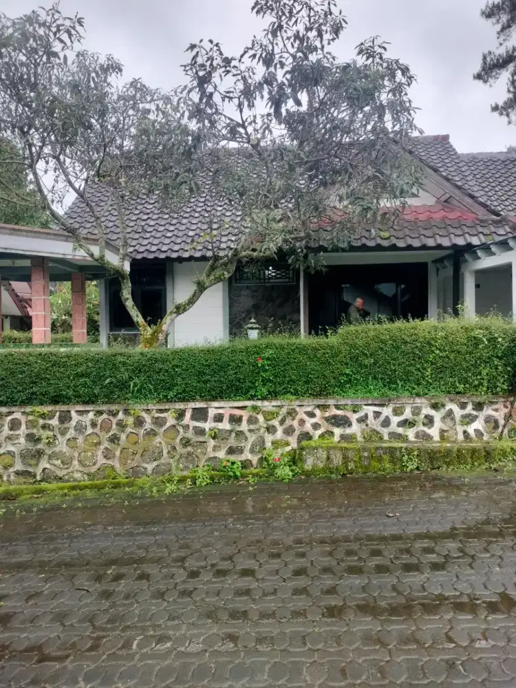 Di jual butuh vila lokasi di bugenvil Cipanas puncak harga 700 juta
