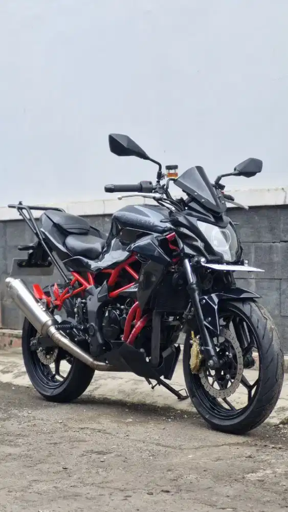 Kawasaki Ninja Mono Z250SL RR Mono