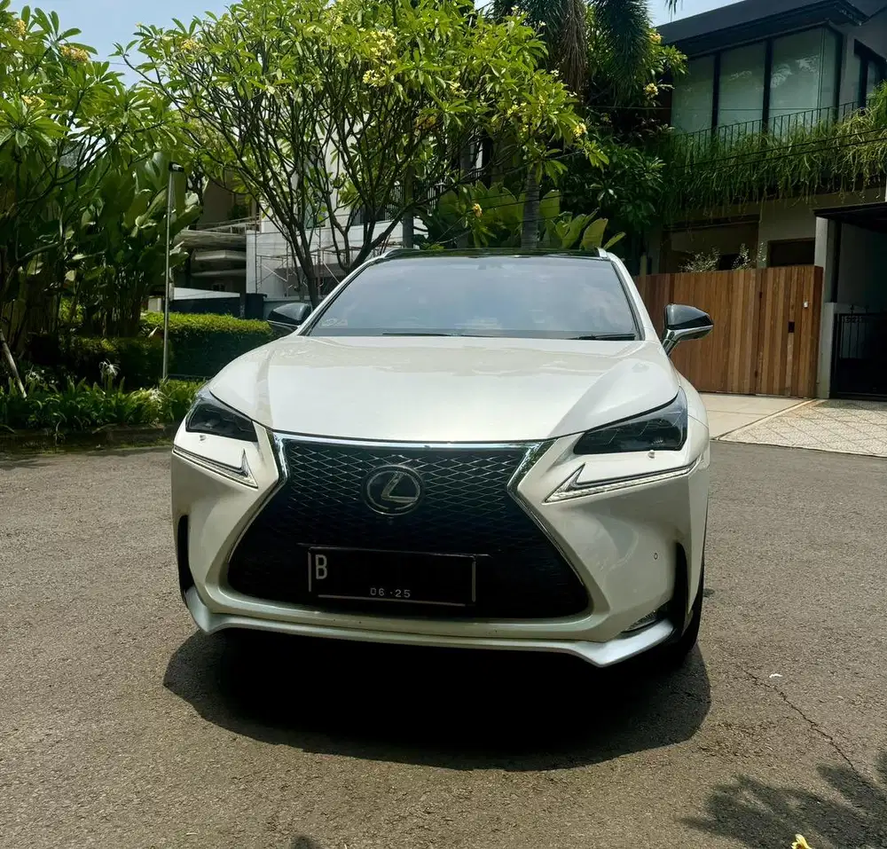 Lexus NX200t NX300 Fsport white pemakaian pribadi