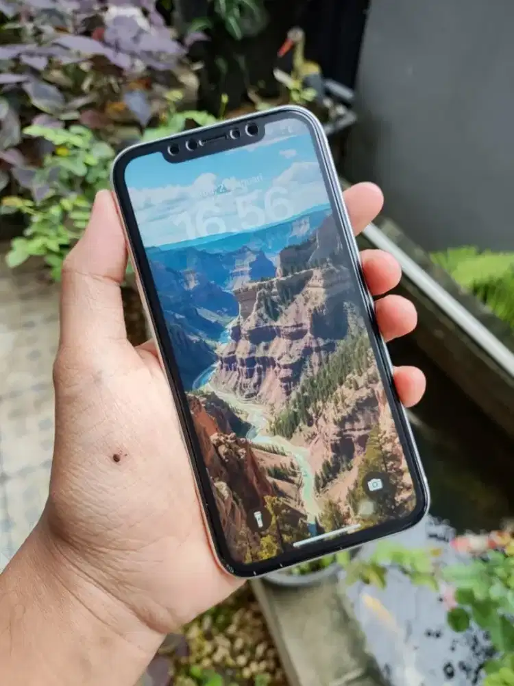 iPhone XR 64 GB inter