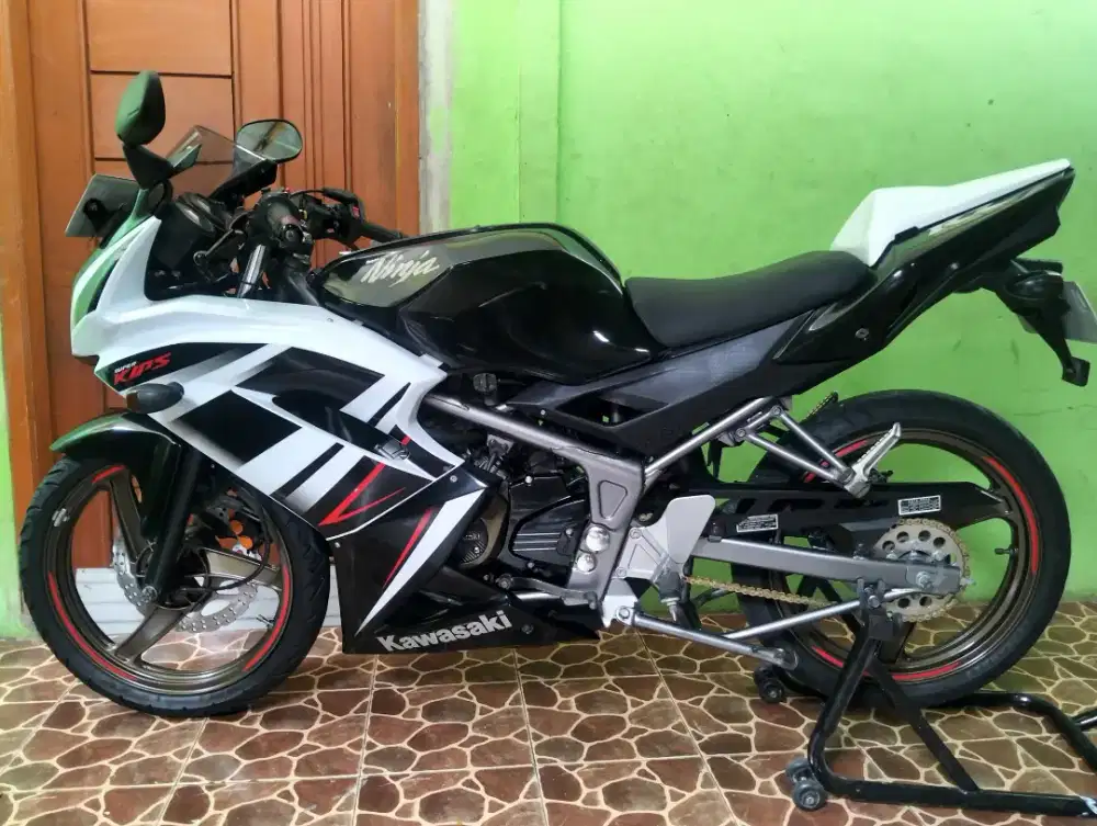 Ninja Rr SE 2015