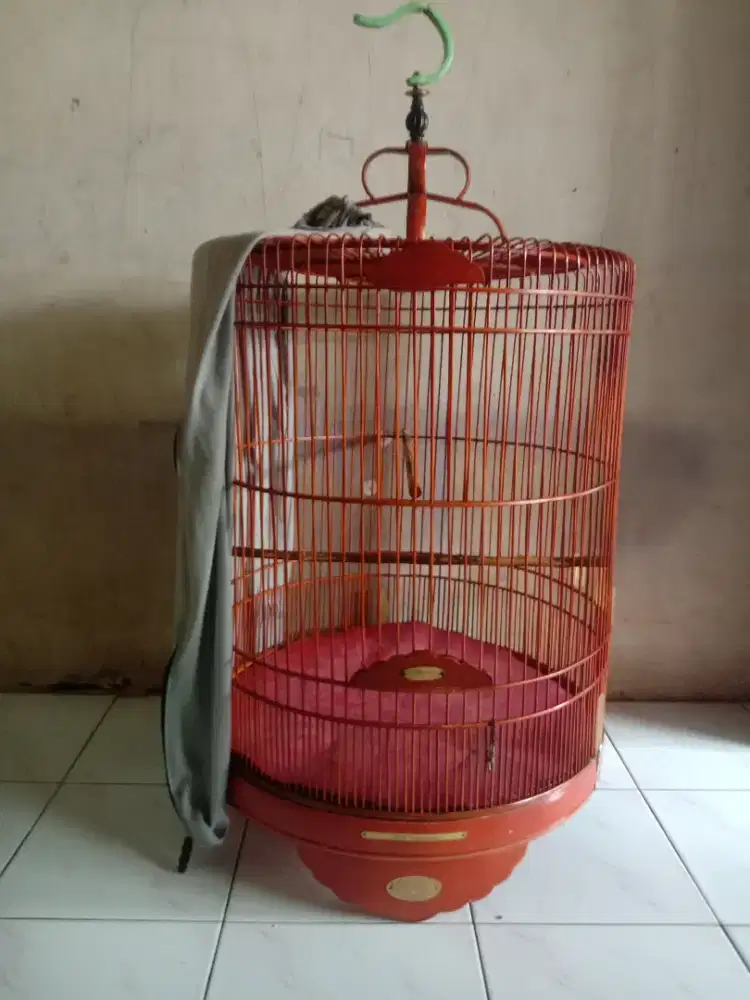 Kandang murai BNR no 2 fulset krodong tebel 550 k pondok aren