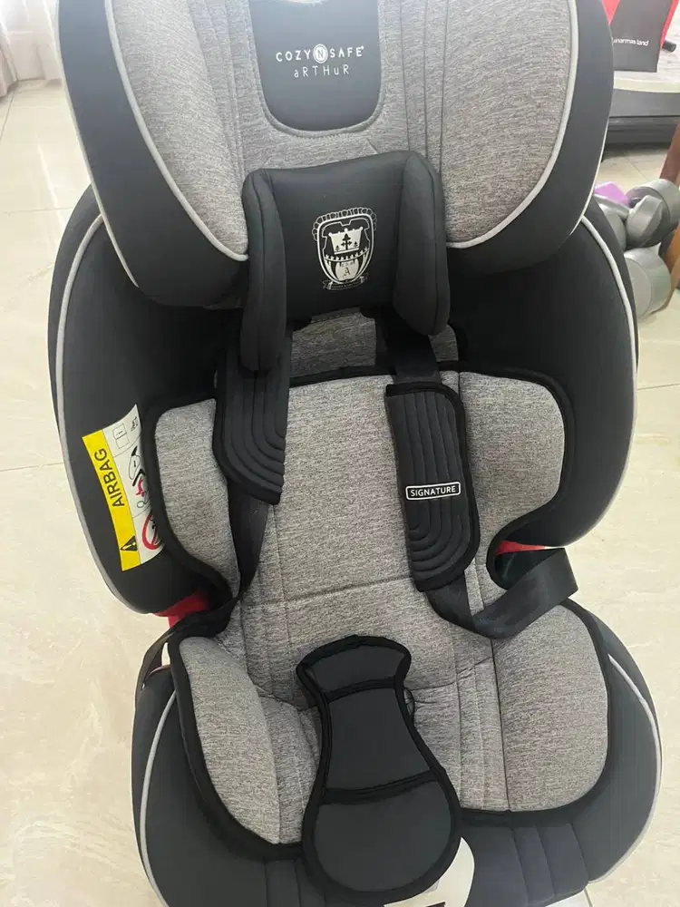 Carseat Cozy n Safe Arthur Graphite