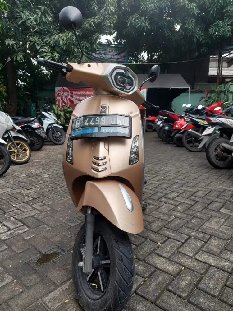 motor listrik greetech like new 2024 km 290 perak