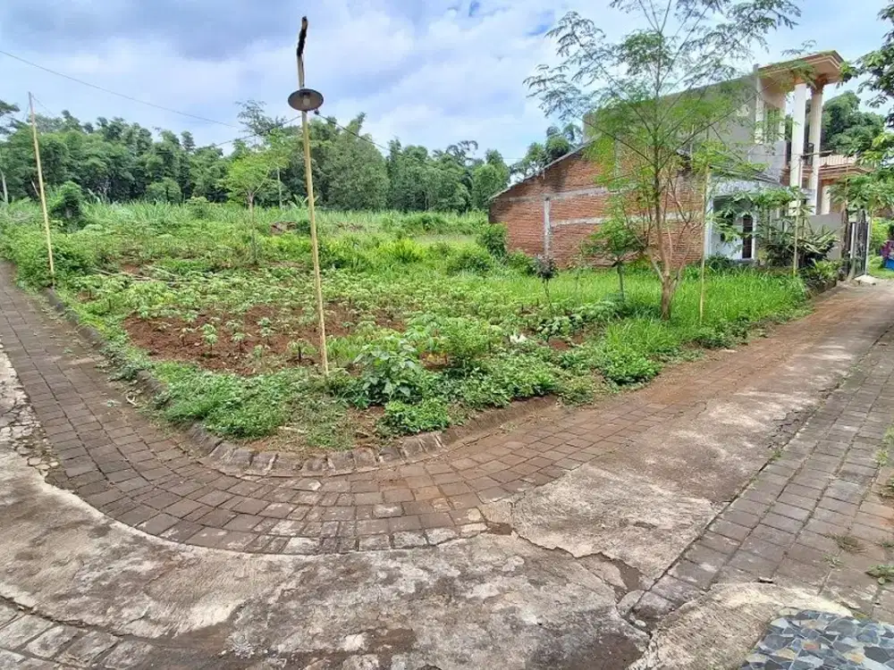 Tanah Murah Toyomarto Singosari Malang Jual Cpt Edisi B.u Poll