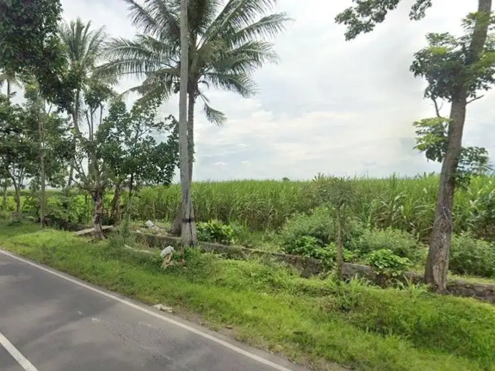 Tanah dijual karangduren kendalpayak curungrejo Lt3000 poros aspal leb15