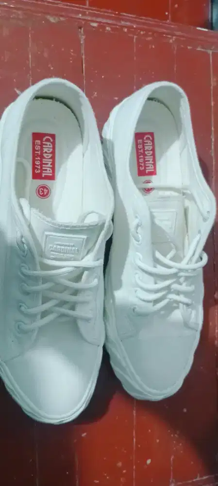 Sepatu Warna Putih