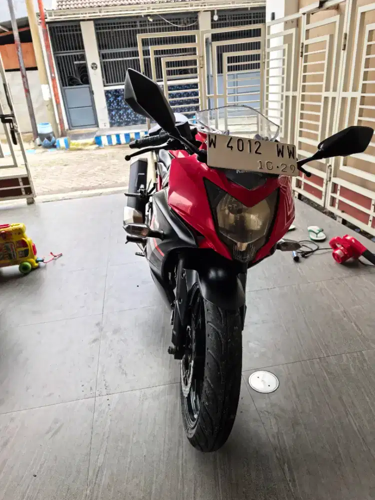 Kawasaki ninja RR 250 mono 2019