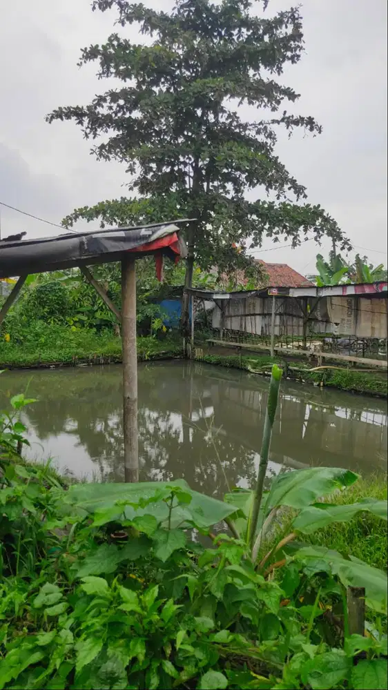 Dijual cepat tanah seluas 400 meter (harga nego)