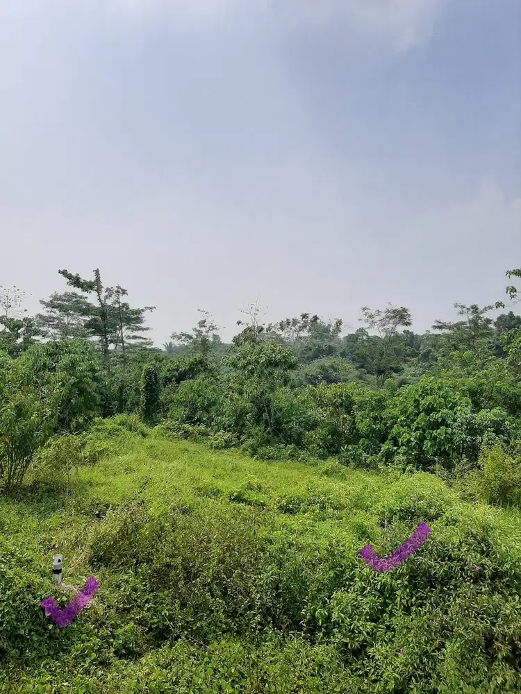 Dijual : Tanah Kavling, Ds. Gelam, Kec. Cipocok Jaya, Serang