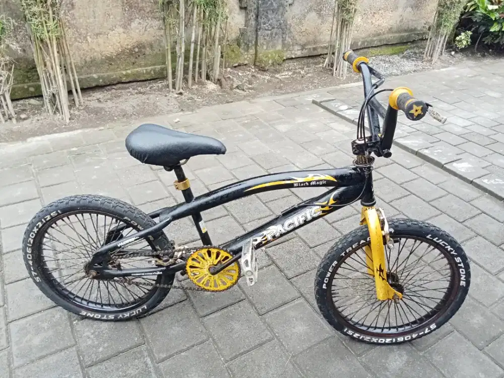Sepeda PACIFIC BLACK MAGIC R 20