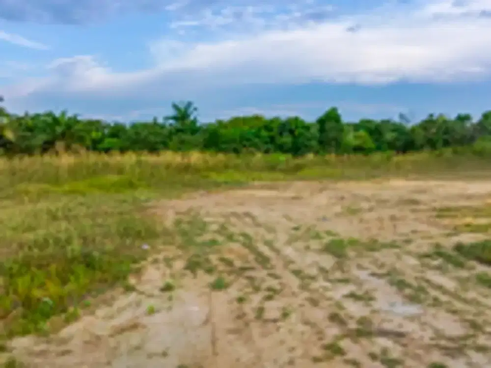 TANAH DIJUAL – KABUPATEN TANJUNG JABUNG BARAT