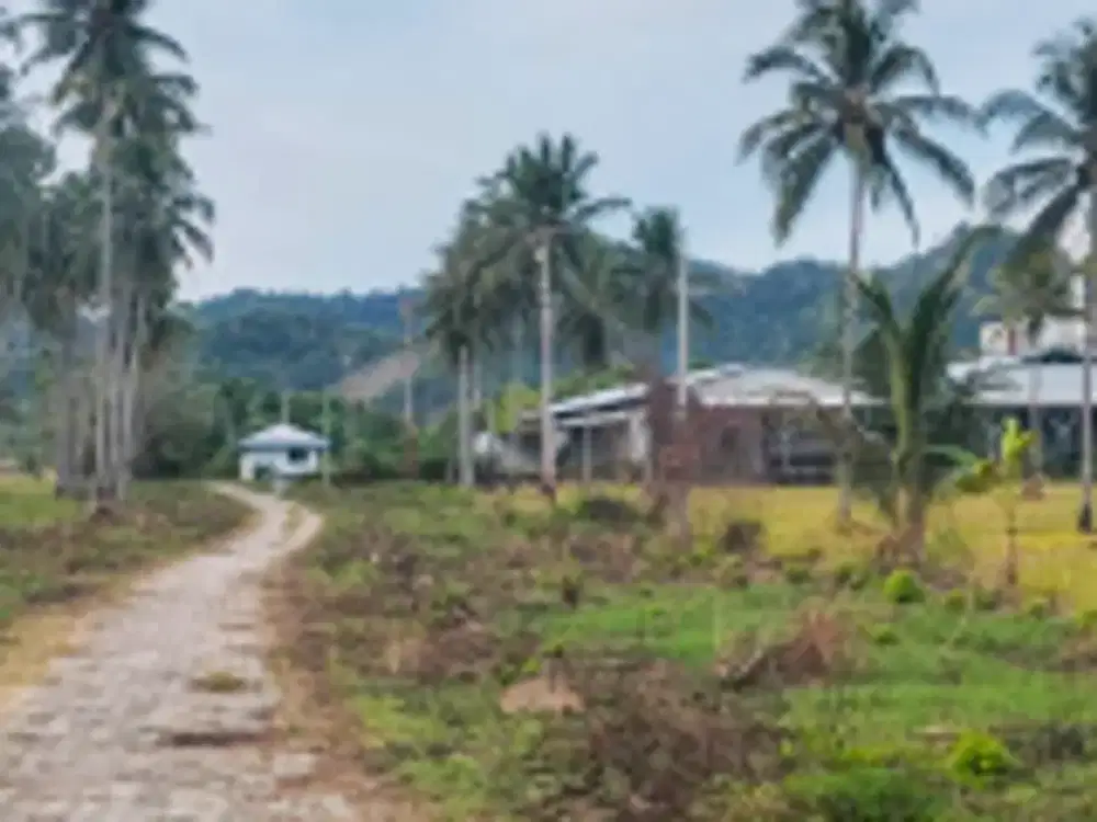 PABRIK DIJUAL – KABUPATEN POHUWATO