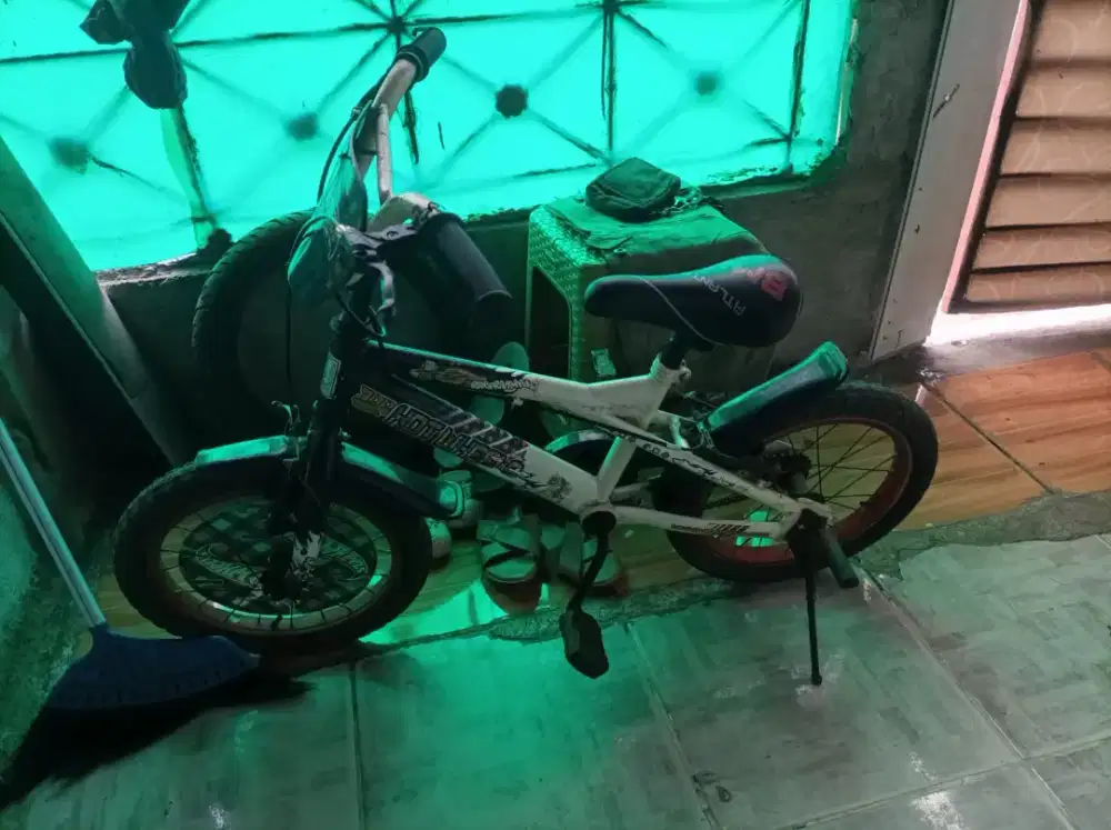 Sepeda wimcycle UK 16