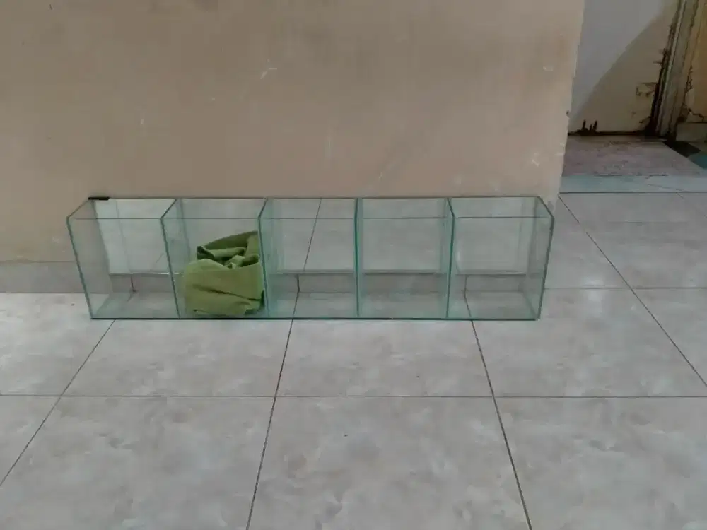 Etalase pajangan buah