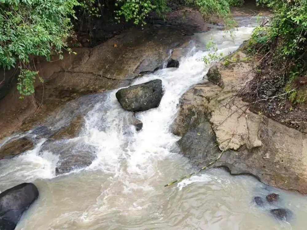 jual tanah kebun los sungai besar di tabanan bali