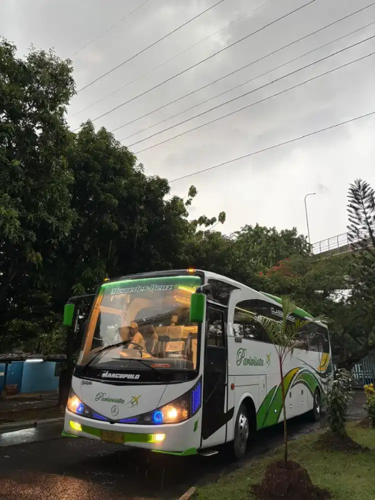 Mercedes-Benz Big Bus OH PRIMA thn 88 seat 59 Body Marcopolo 2011