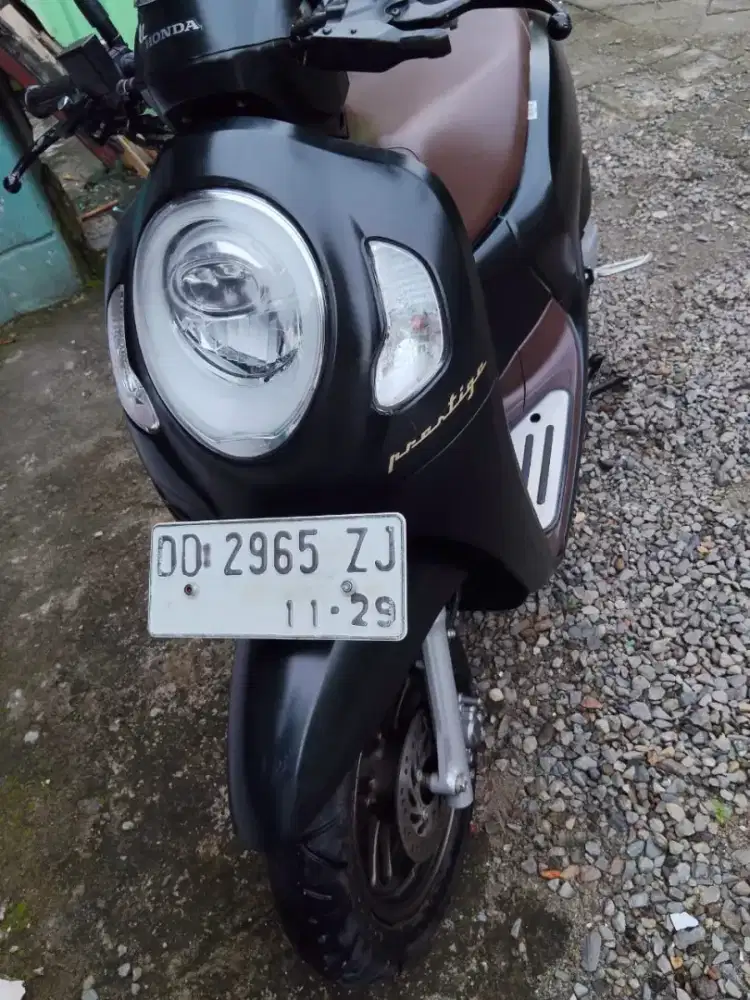 Honda scoppy 2024 buln 11