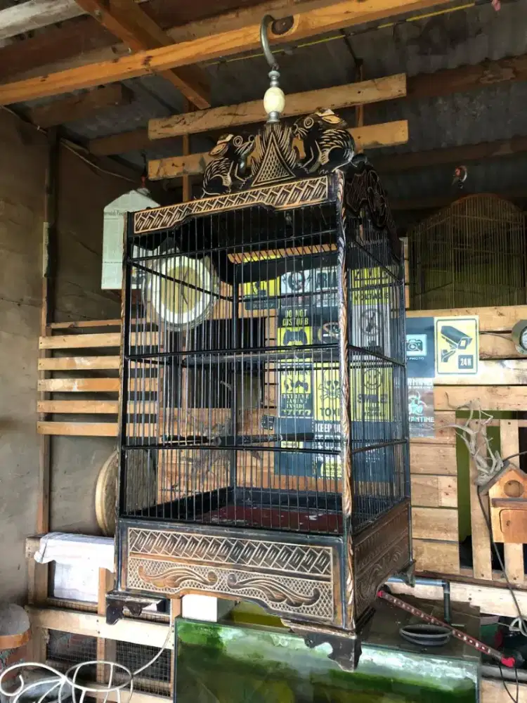 Sangkar ukir antep ukuran 40x40