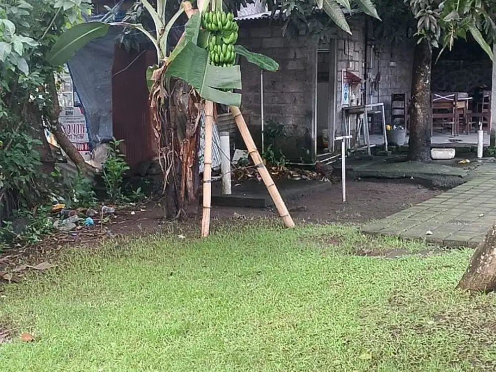 JUAL TANAH DI PUSAT KOTA