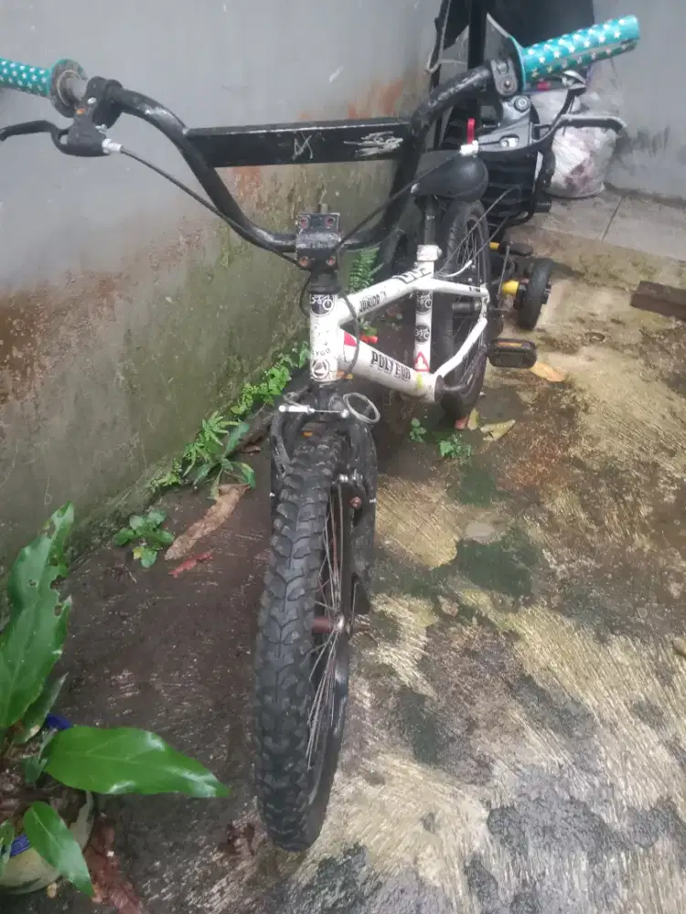 Sepeda Polygon anak