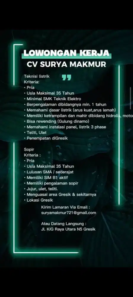 Sopir Dan Teknisi Listrik