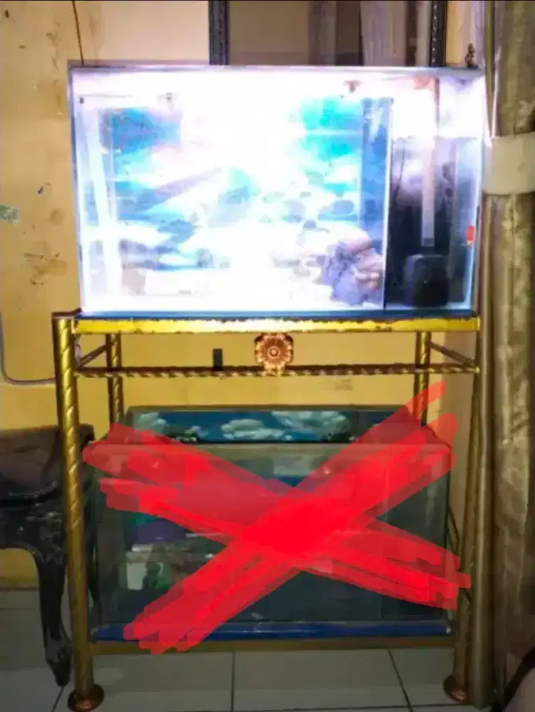 1 Aquarium (Atas) Full Set Bonus Rak