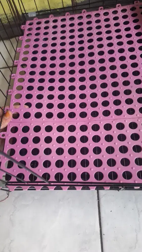 Kandang+litter box hewan kucing, kelinci, anjing, terserah.