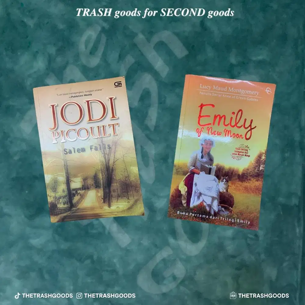 Buku Novel Preloved, Buku Novel Klasik, Buku Novel Bekas Original